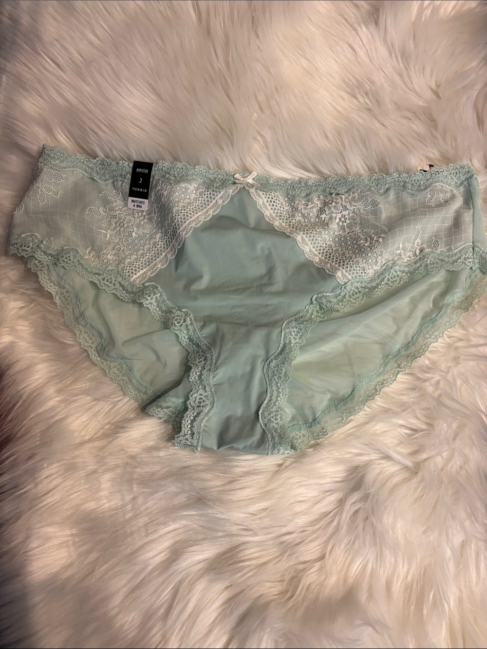 Torrid Mint Green Lace Hipster Panty